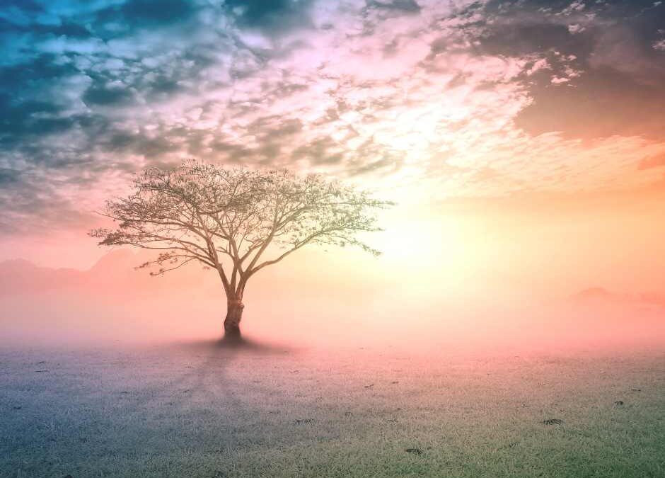 What is a Life Activation?