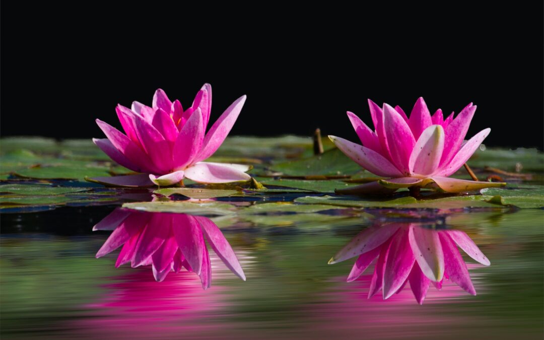 The Power of a Full Spirit Activation